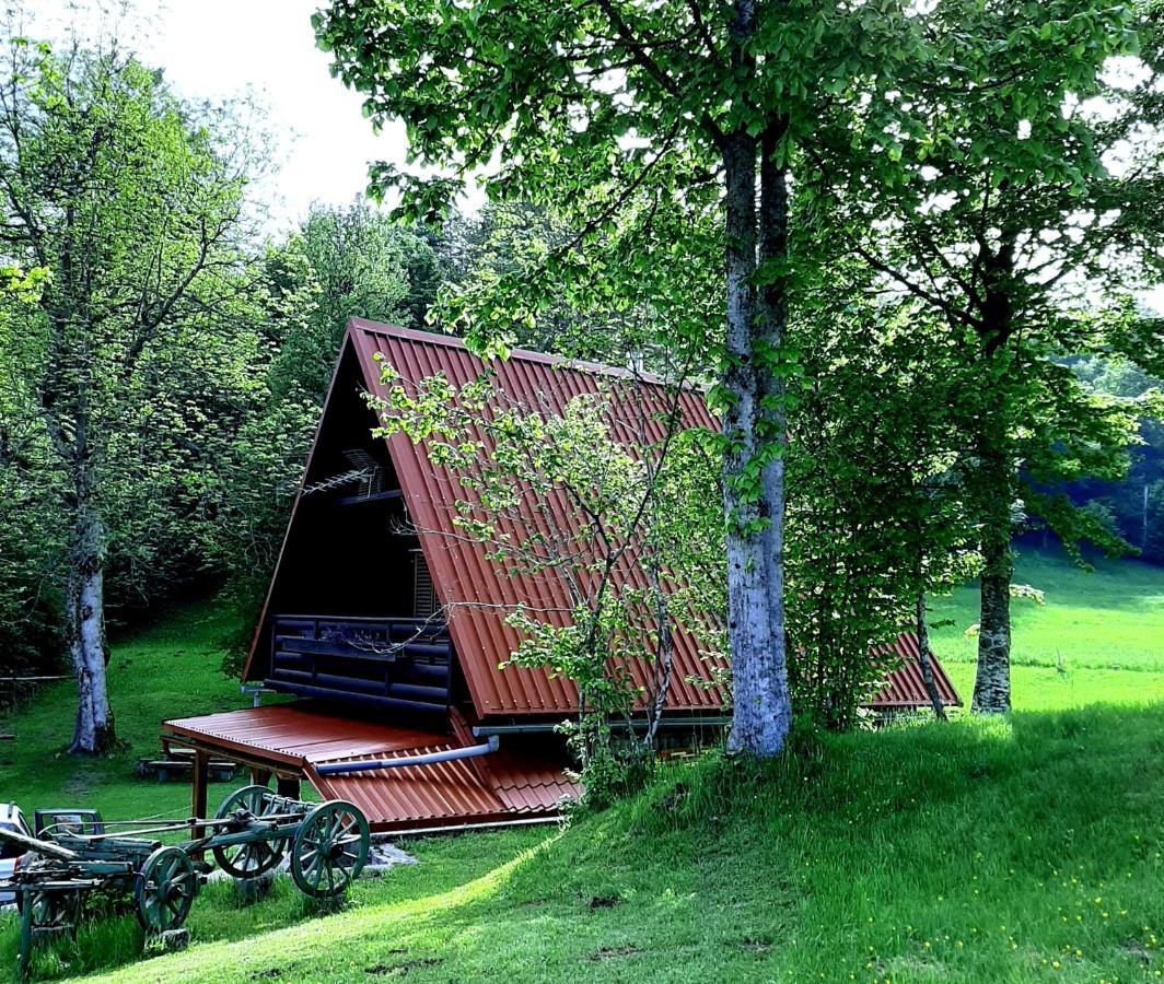 Villa Kuca Za Odmor Gale à Delnice Extérieur photo