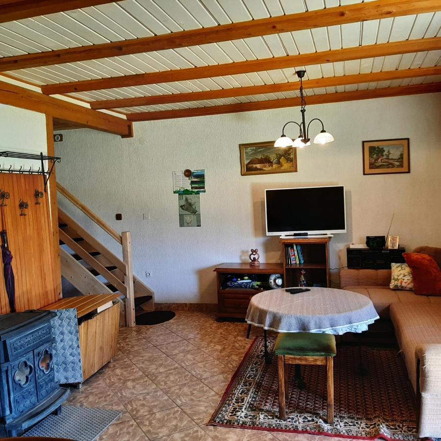 Villa Kuca Za Odmor Gale à Delnice Extérieur photo
