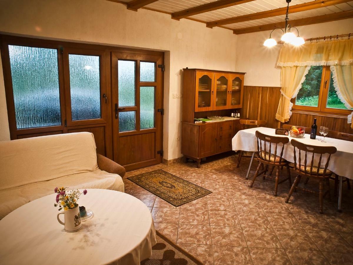 Villa Kuca Za Odmor Gale à Delnice Extérieur photo