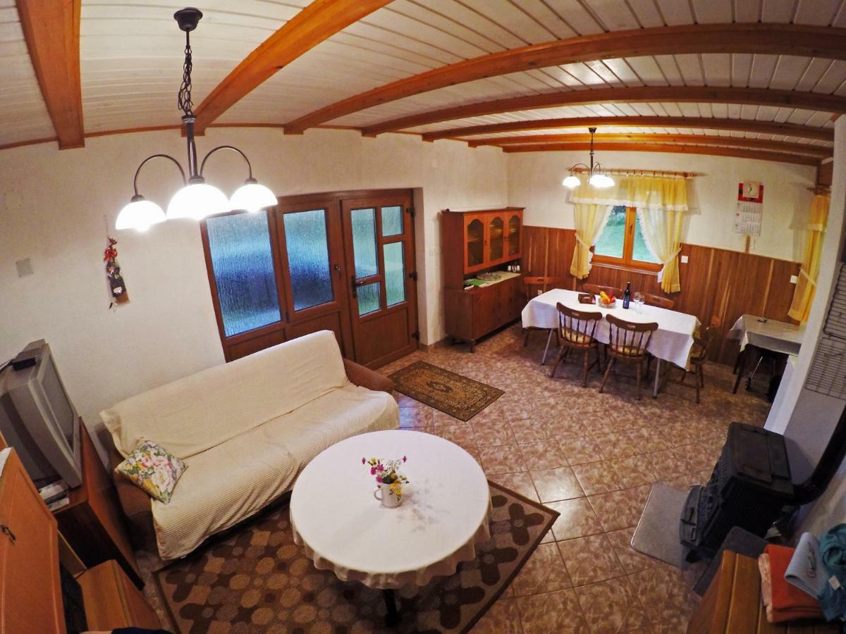 Villa Kuca Za Odmor Gale à Delnice Extérieur photo